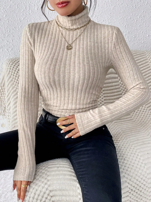 Autumn and Winter Women's Casual Top - High Neck / Long Sleeve / Slim Knit
