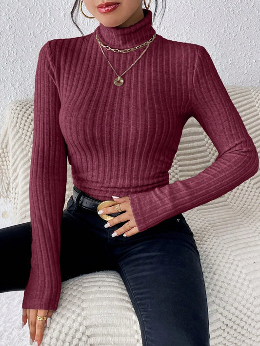 Autumn and Winter Women's Casual Top - High Neck / Long Sleeve / Slim Knit